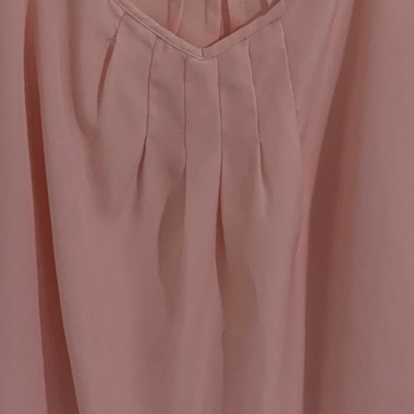 Talula Sleeveless Light Pink Sheer Blouse - Small - Picture 3 of 3